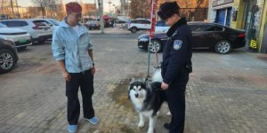 拴紧“文明绳”共护城市美  松北公安靶向发力构建文明养犬新常态
