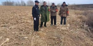 春雷行动:护航春耕 冰城公安筑牢乡村振兴平安基石