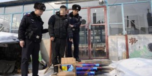 严守烟花安全线 新春平安“警”相随