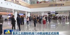 首季上扬启新程！中国经济破浪前行 多领域实现稳健开局