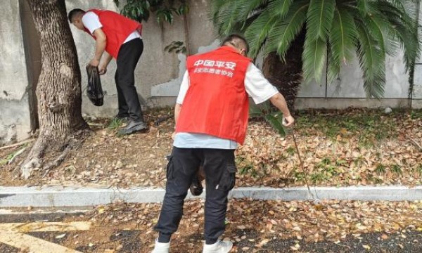 世界地球日：守护绿色家园 东阳平安产险在行动