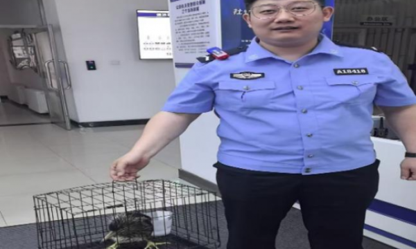 警民携手护生态：通达派出所民警成功解救国家二级保护动物夜鹭