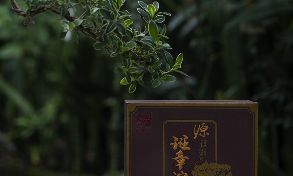 从原料到品牌，陈升号源班章沱复刻班章传奇！！